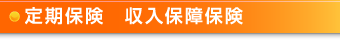 定期保険　収入保障保険